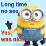 minions-ch-long-time-no-see